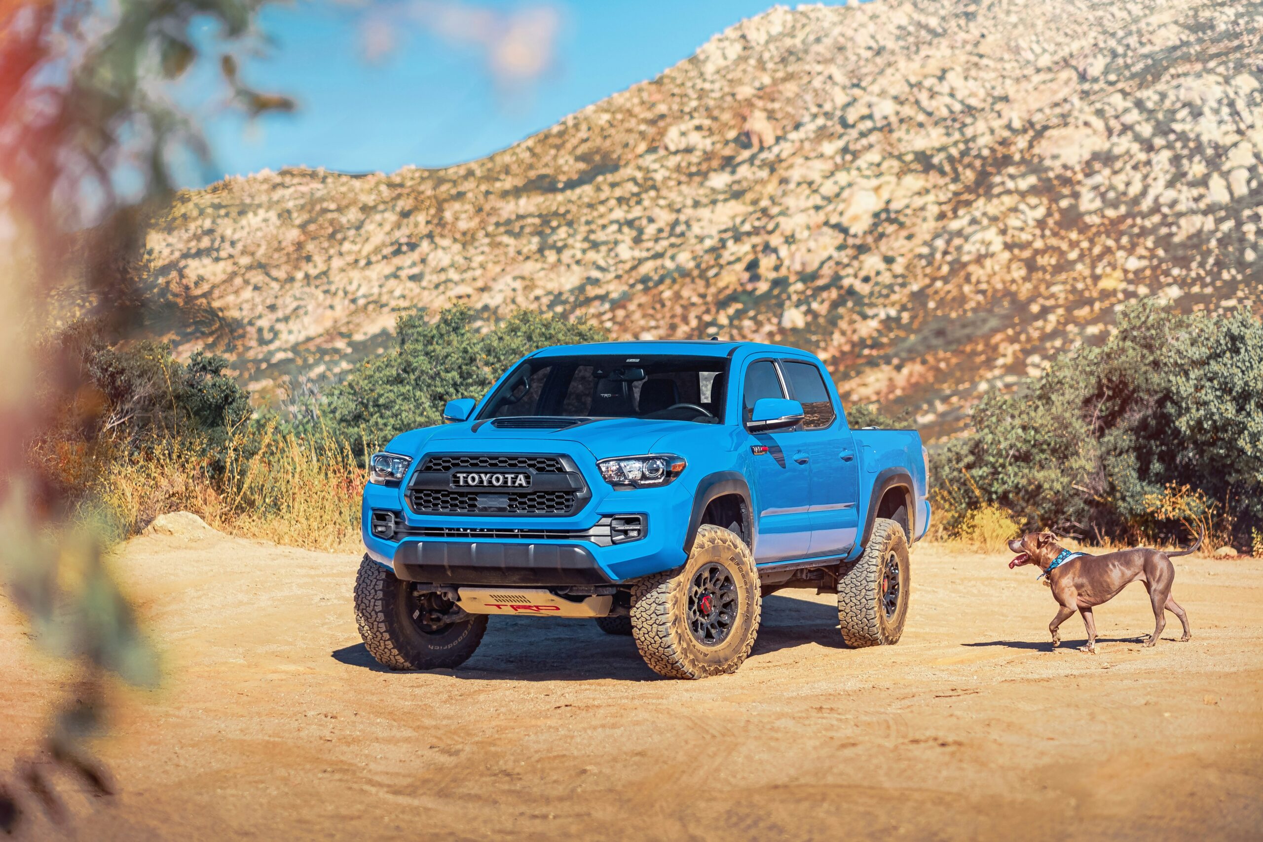 Tout savoir sur Toyota la mythique marque de voitures