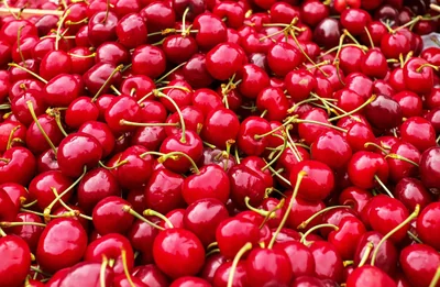 Découvrez les boucles d'oreilles cerises incontournables de 2026 pour un look fruité!