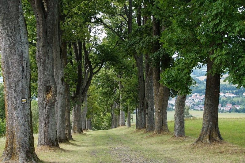 Reconnaissance des marques dans l’industrie automobile