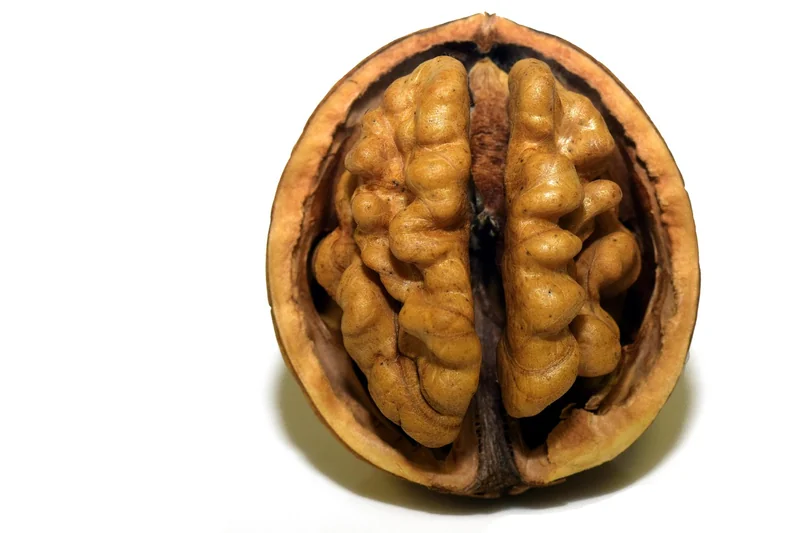 Comment protéger votre cerveau lors d'une hypoglycémie
