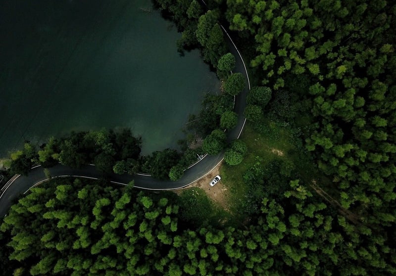 Guide d’achat automobile : conseils pour bien choisir votre véhicule