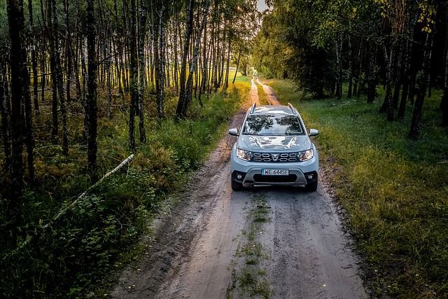 Quel est le tarif de la révision pour la Dacia Sandero ?