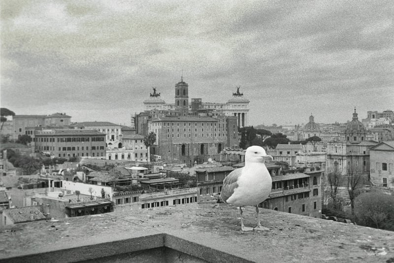 Quel est le prix de la Ferrari Roma ?