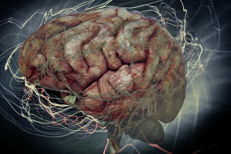 Effets neurologiques à long terme : que dit la science ?