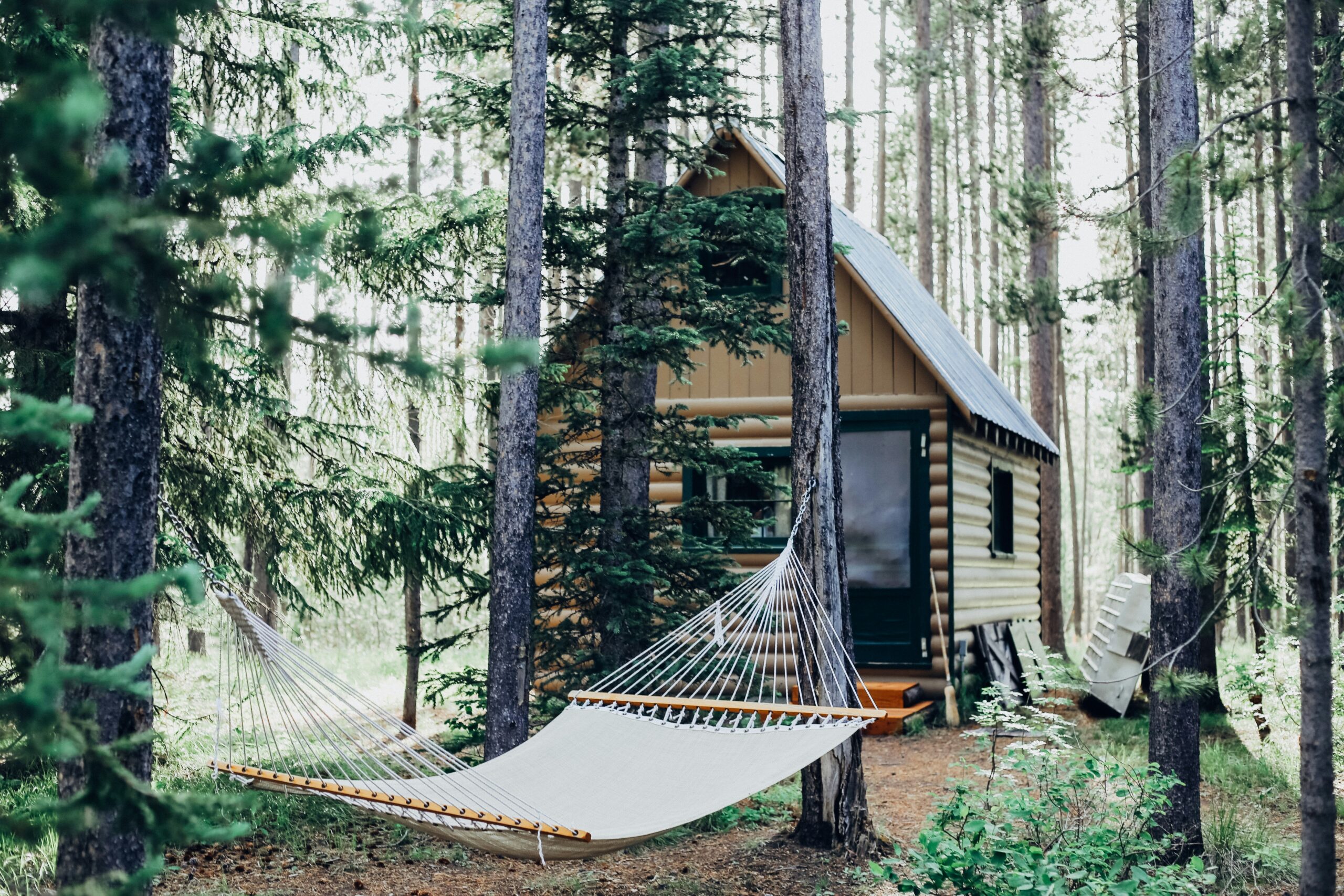 le filtre à air  de la cabine est un élément essentiel pour purifier l'air à l'intérieur de votre véhicule. découvrez comment maintenir la qualité de l'air dans votre habitacle avec un filtre à air de qualité.