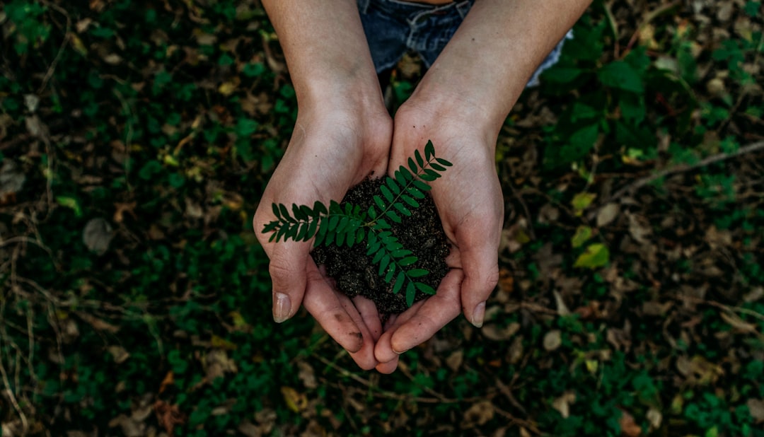 découvrez comment la mobilité durable transforme nos déplacements quotidiens, réduisant l'empreinte carbone et favorisant des modes de transport respectueux de l'environnement. explorez les solutions innovantes pour un avenir plus vert.