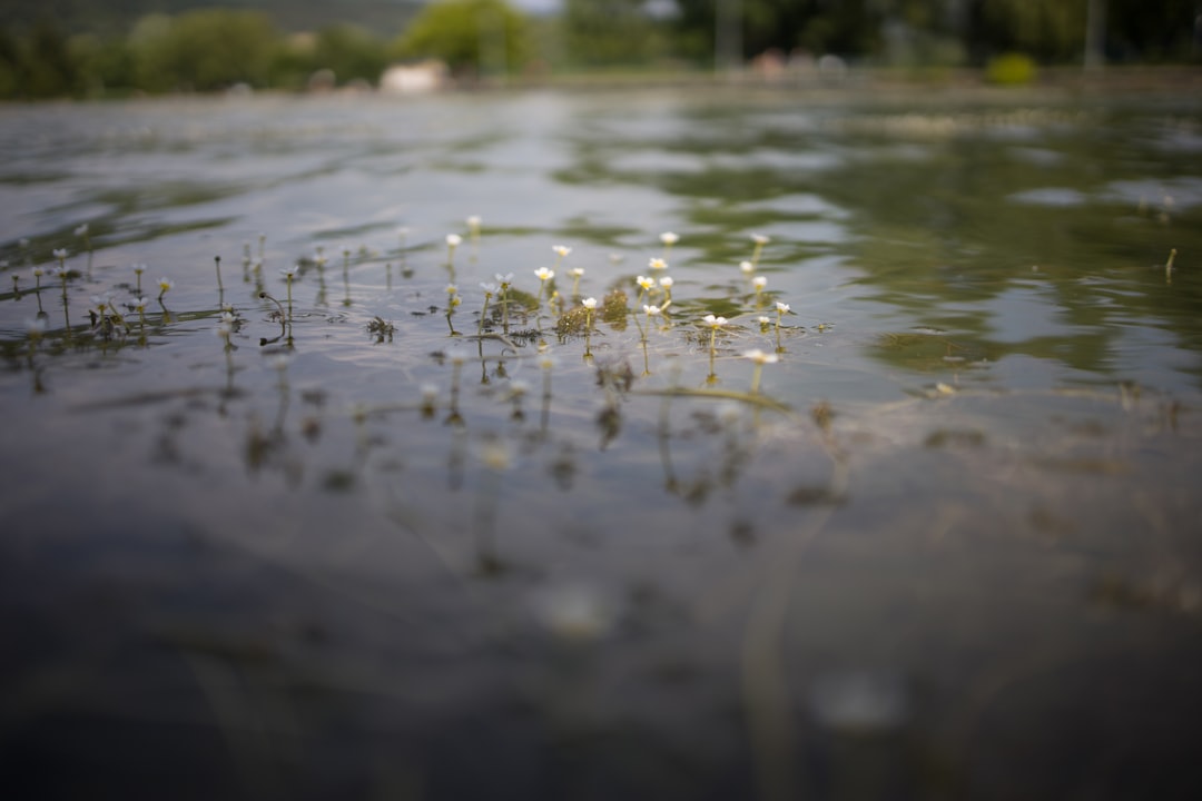 découvrez les problèmes courants rencontrés dans divers domaines, leurs causes, ainsi que des solutions efficaces pour les surmonter et améliorer votre quotidien.