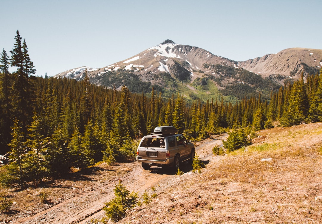 découvrez notre sélection de suv alliant confort, performance et style. parfaits pour les aventuriers et les familles, nos modèles offrent un espace généreux et des technologies de pointe. explorez notre gamme dès aujourd'hui!