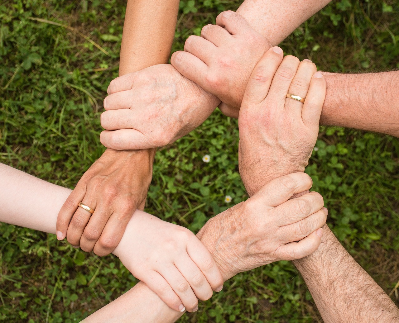 découvrez notre sélection de voitures familiales alliant confort, sécurité et espace. trouvez le modèle parfait pour vos aventures en famille, adapté à tous vos besoins.