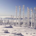 découvrez les meilleures pratiques pour la winterization de votre maison et de vos biens, afin de les protéger des rigueurs de l'hiver. apprenez à isoler, à entretenir vos systèmes de chauffage et à préparer votre jardin pour la saison froide.