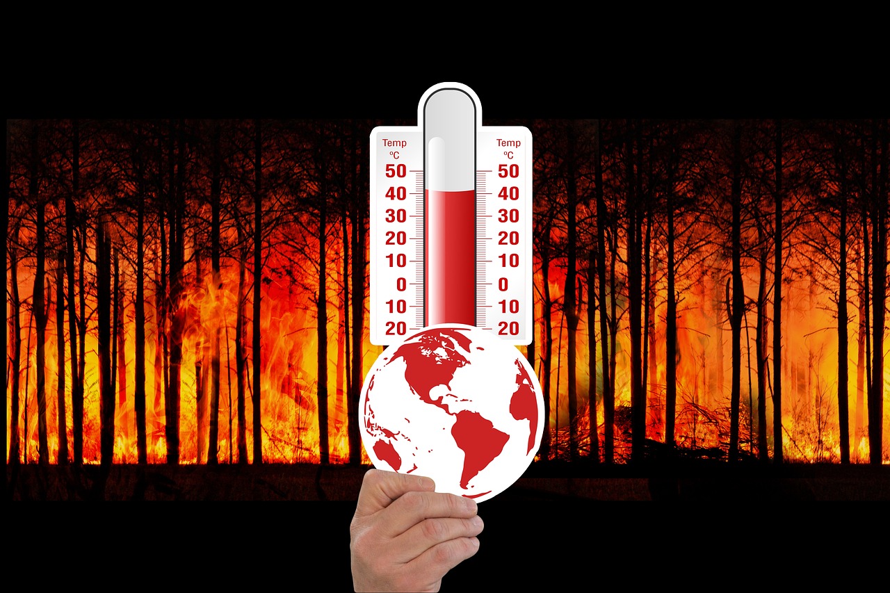 découvrez les enjeux du changement climatique, ses impacts sur notre planète et les solutions pour un avenir durable. informez-vous sur les actions individuelles et collectives à entreprendre pour lutter contre cette crise mondiale.